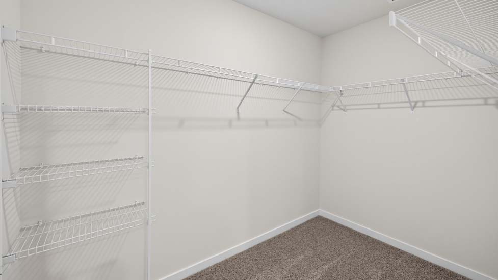 Carpeted walk in closet