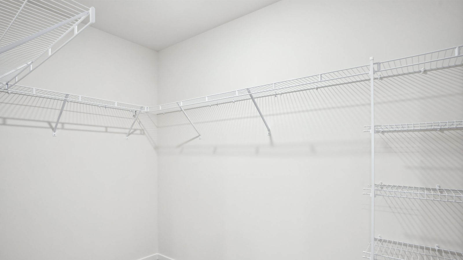 Carpeted walk in closet