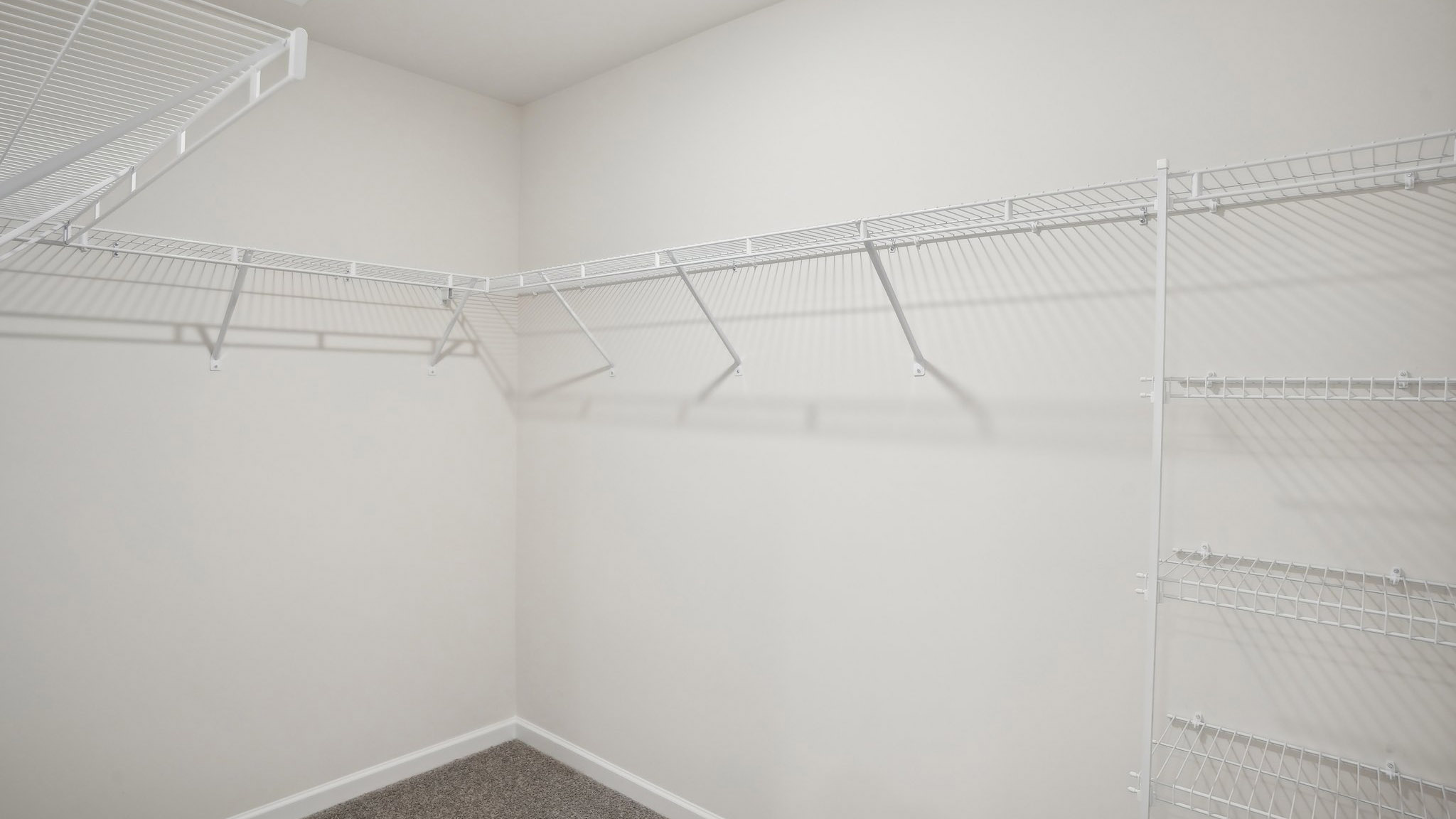 Carpeted walk in closet