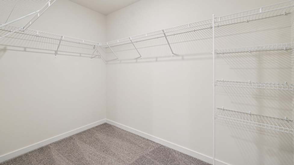 Walk in closet with carpet