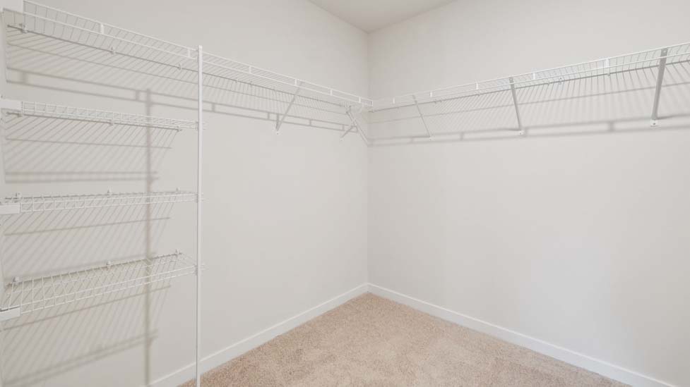 Walk in closet with carpet