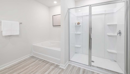 Bathroom with large bathtub and standing shower