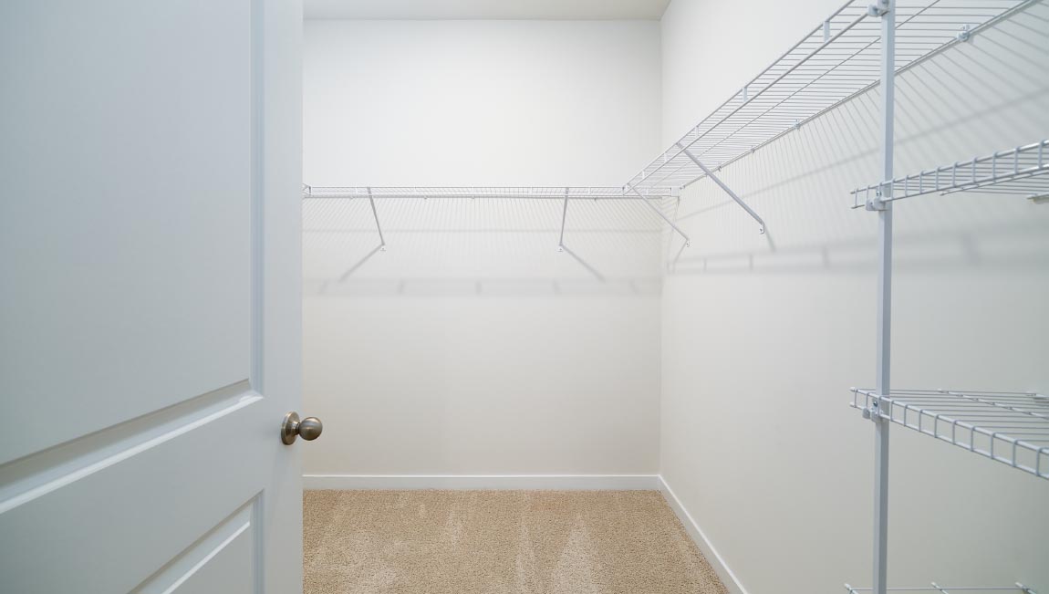 Primary carpeted walk in closet