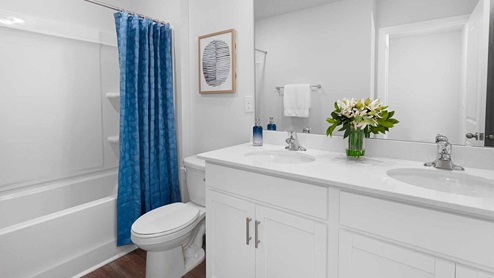 Bathroom with bathtub and shower combination, New home near Charlotte, NC