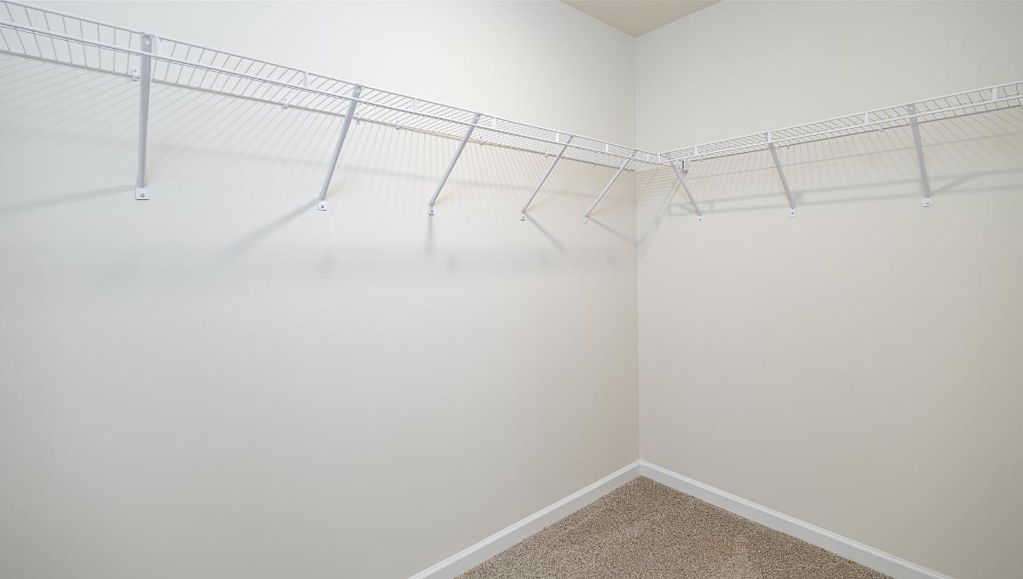 Primary bedroom carpeted walk in closet