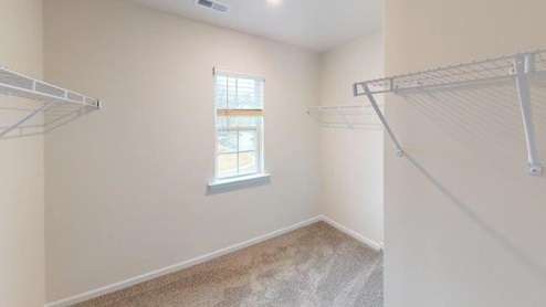 Primary walk in closet, carpeted with built in hanger racks
