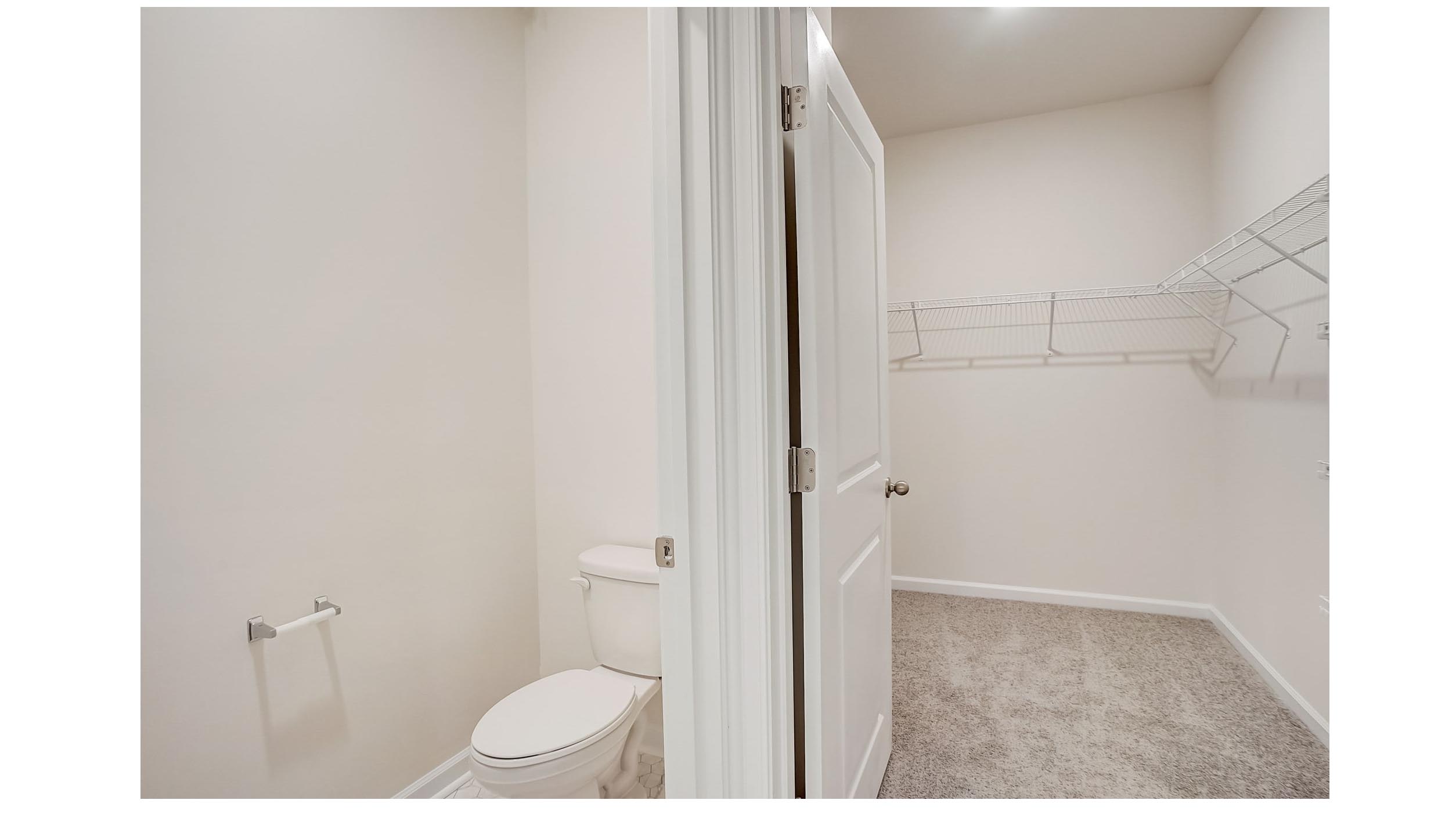 Bathroom and carpeted walk in closet view