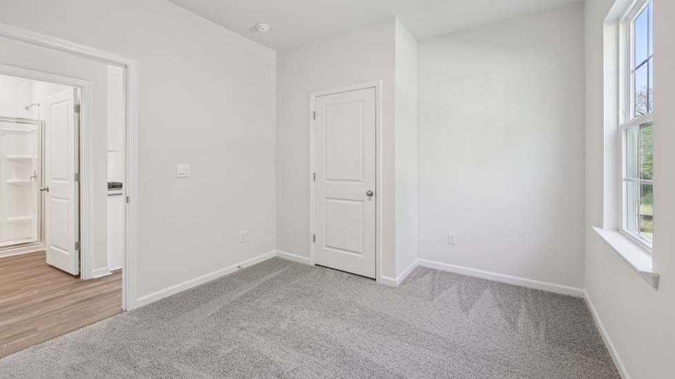 primary bedroom with carpet and large windows