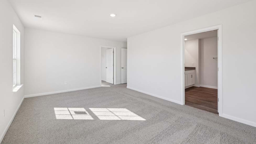 primary bedroom with carpet and large windows