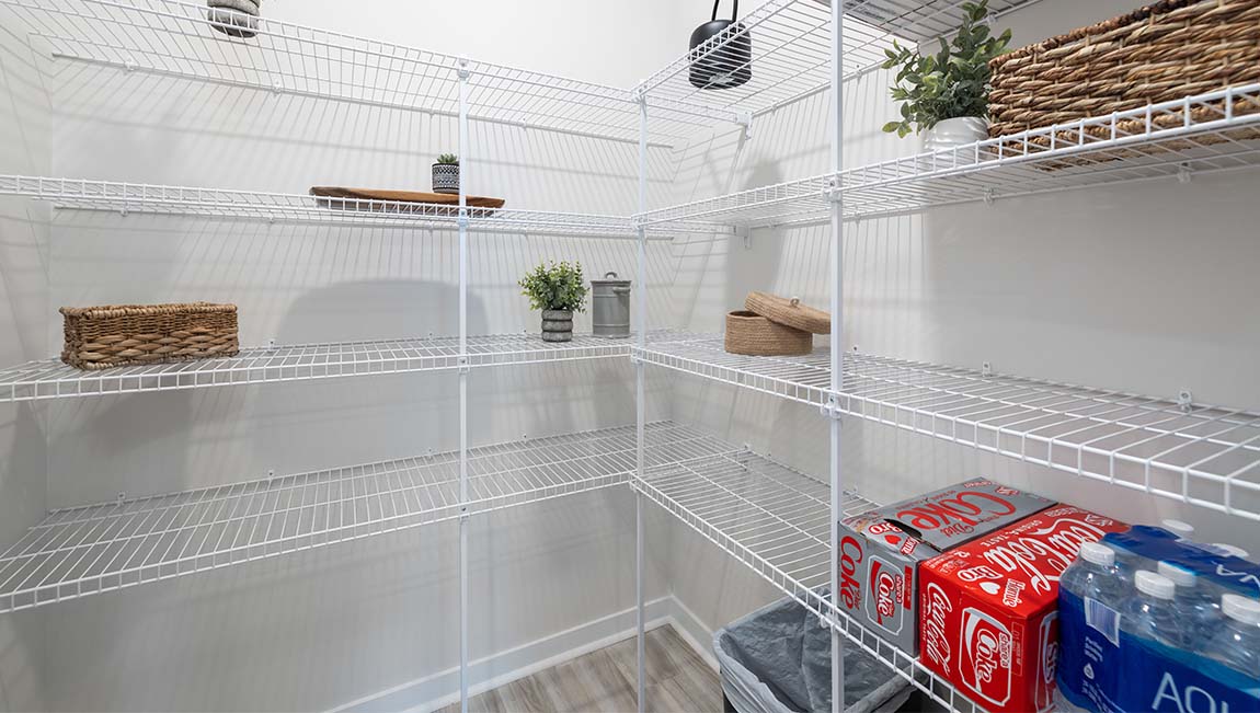 Pantry in the kitchen