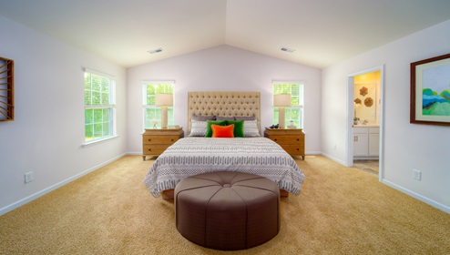 Primary carpeted bedroom with large windows