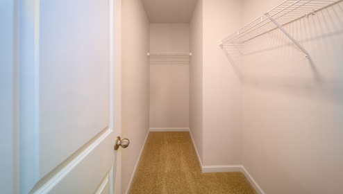 Carpeted walk in closet