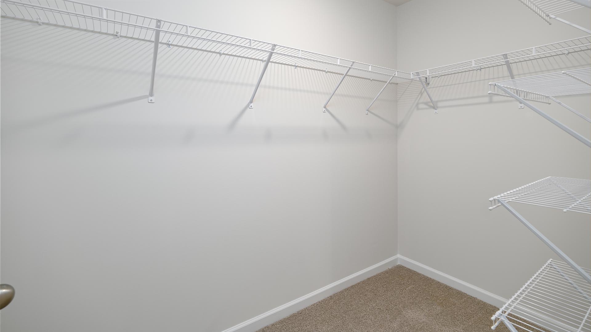 Primary bedroom walk in closet with carpet