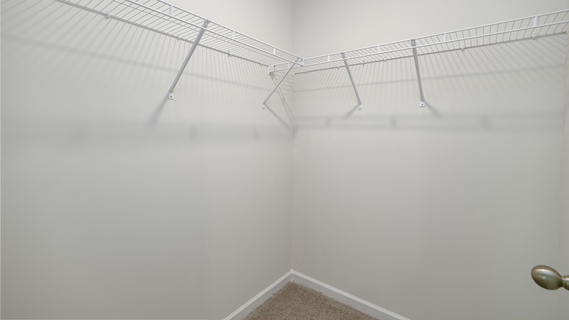 Carpeted walk in closet