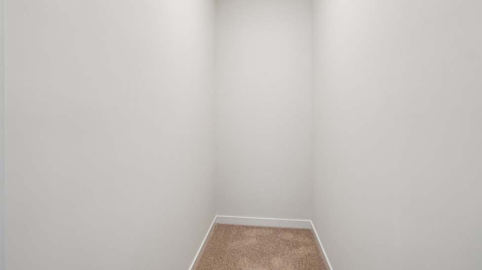 Walk in closet with carpet