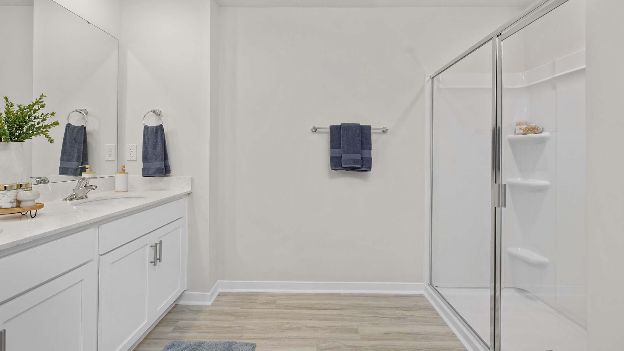 Primary bathroom with standing glass shower