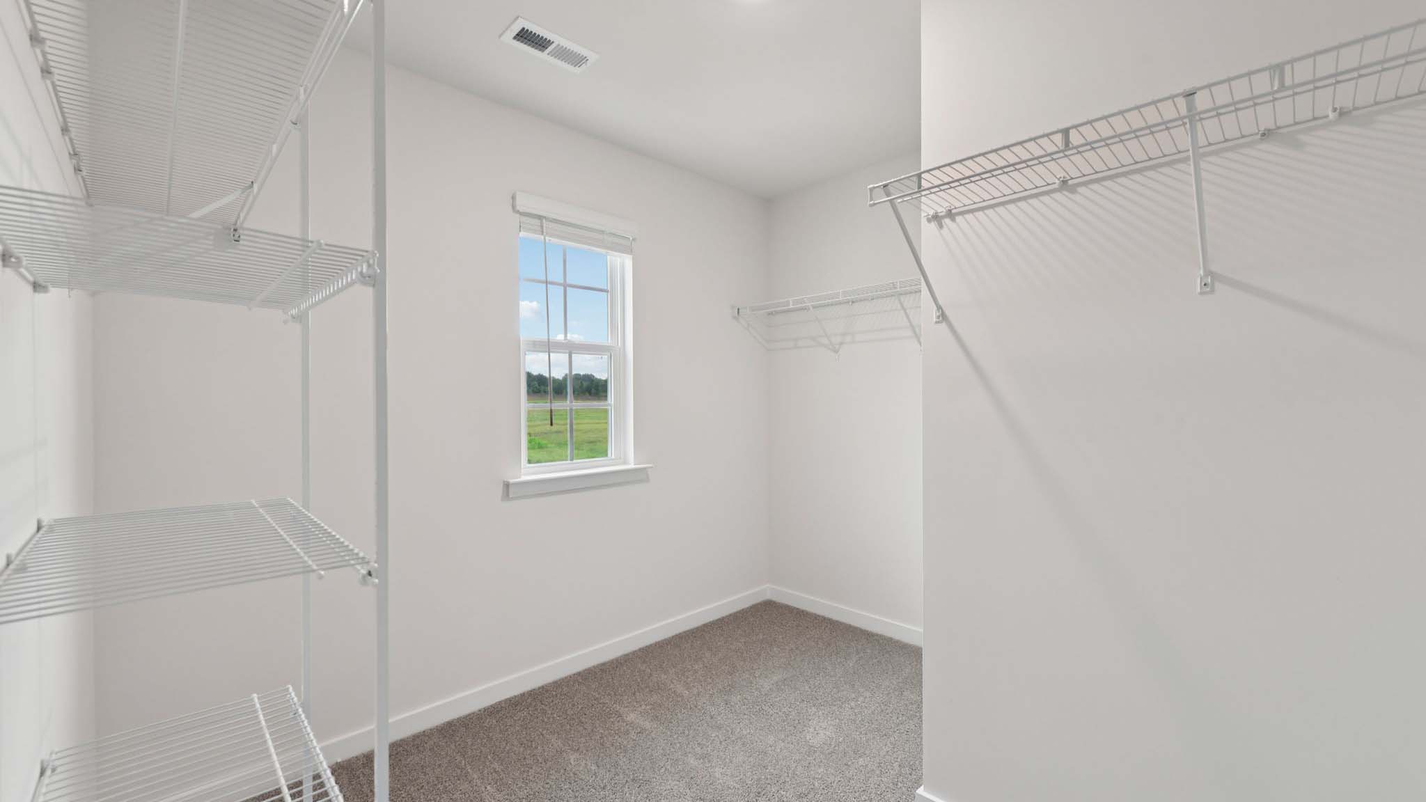Primary bedroom walk in closet with carpet and small window