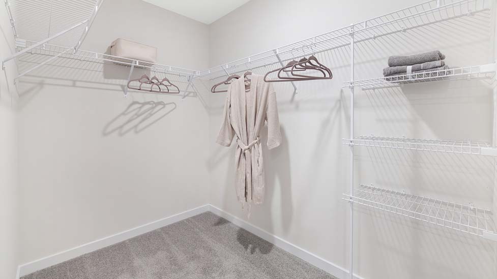 Primary carpeted walk in closet