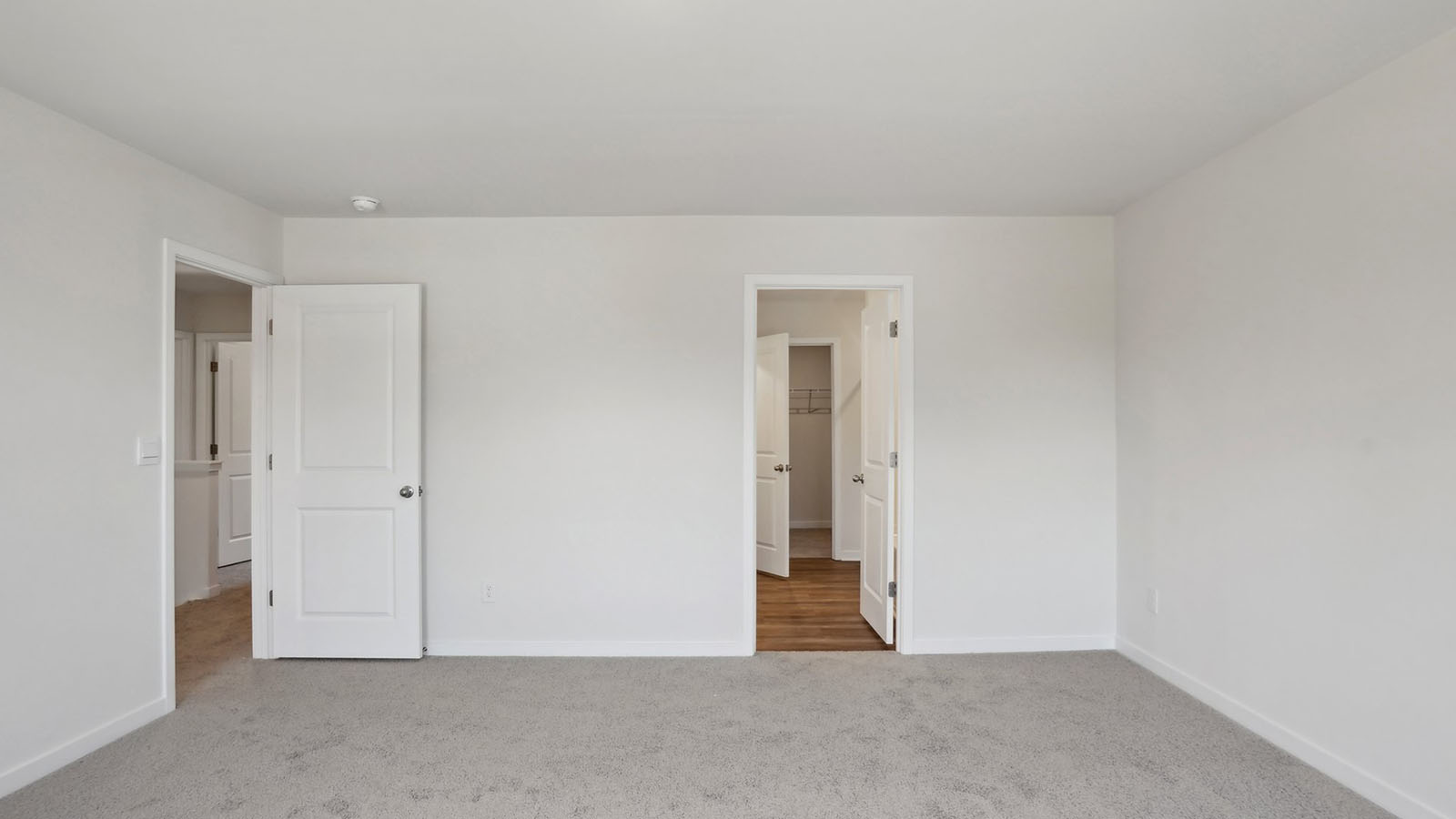 primary bedroom with carpet and two large windows
