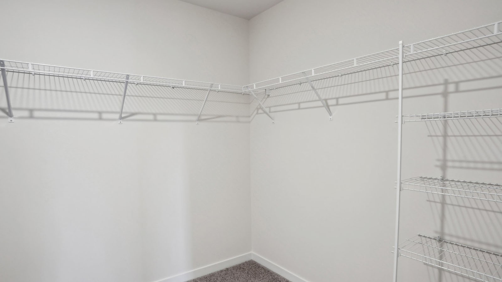 primary bedroom walk in closet with carpet