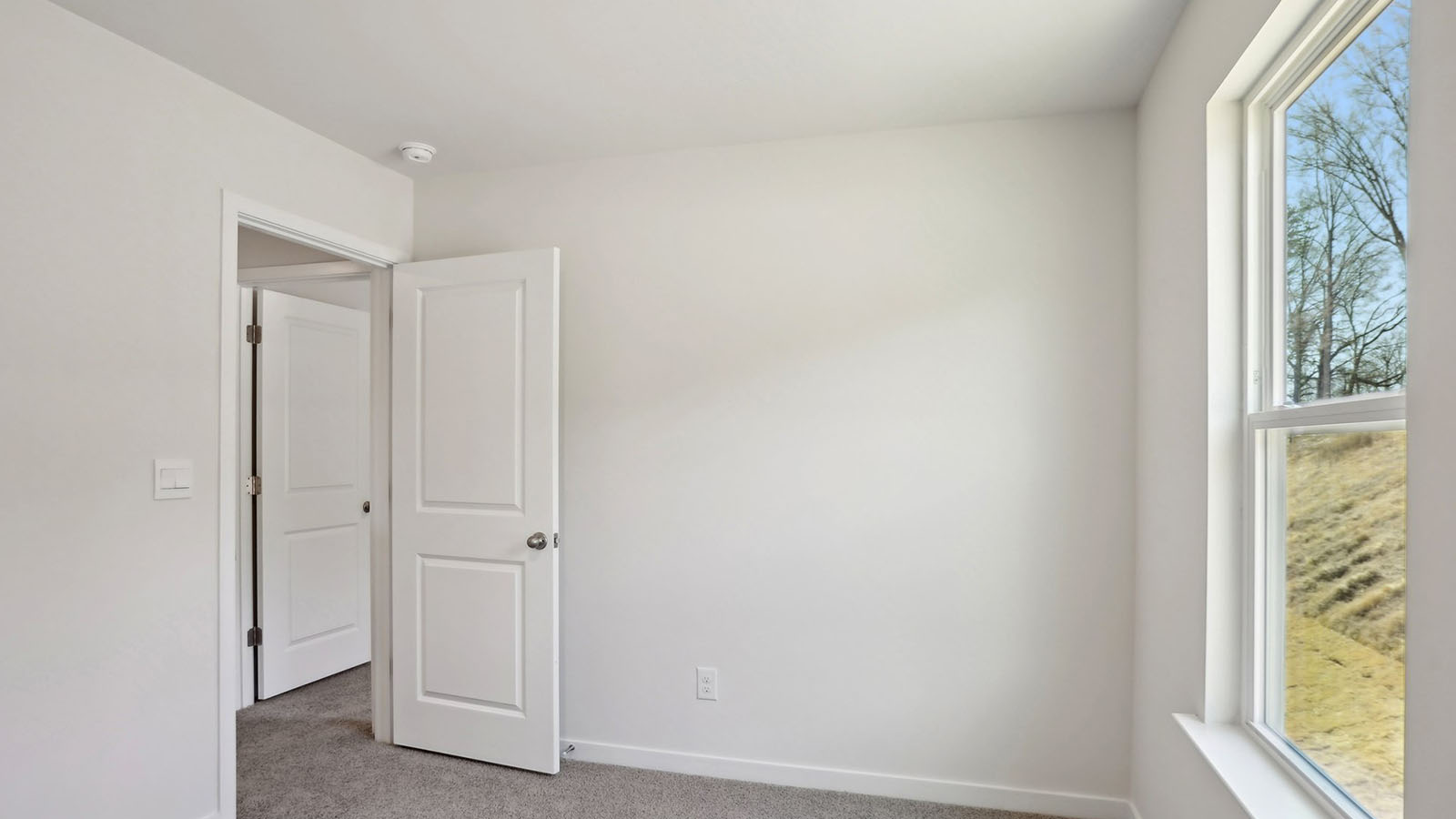 carpeted bedroom with large window