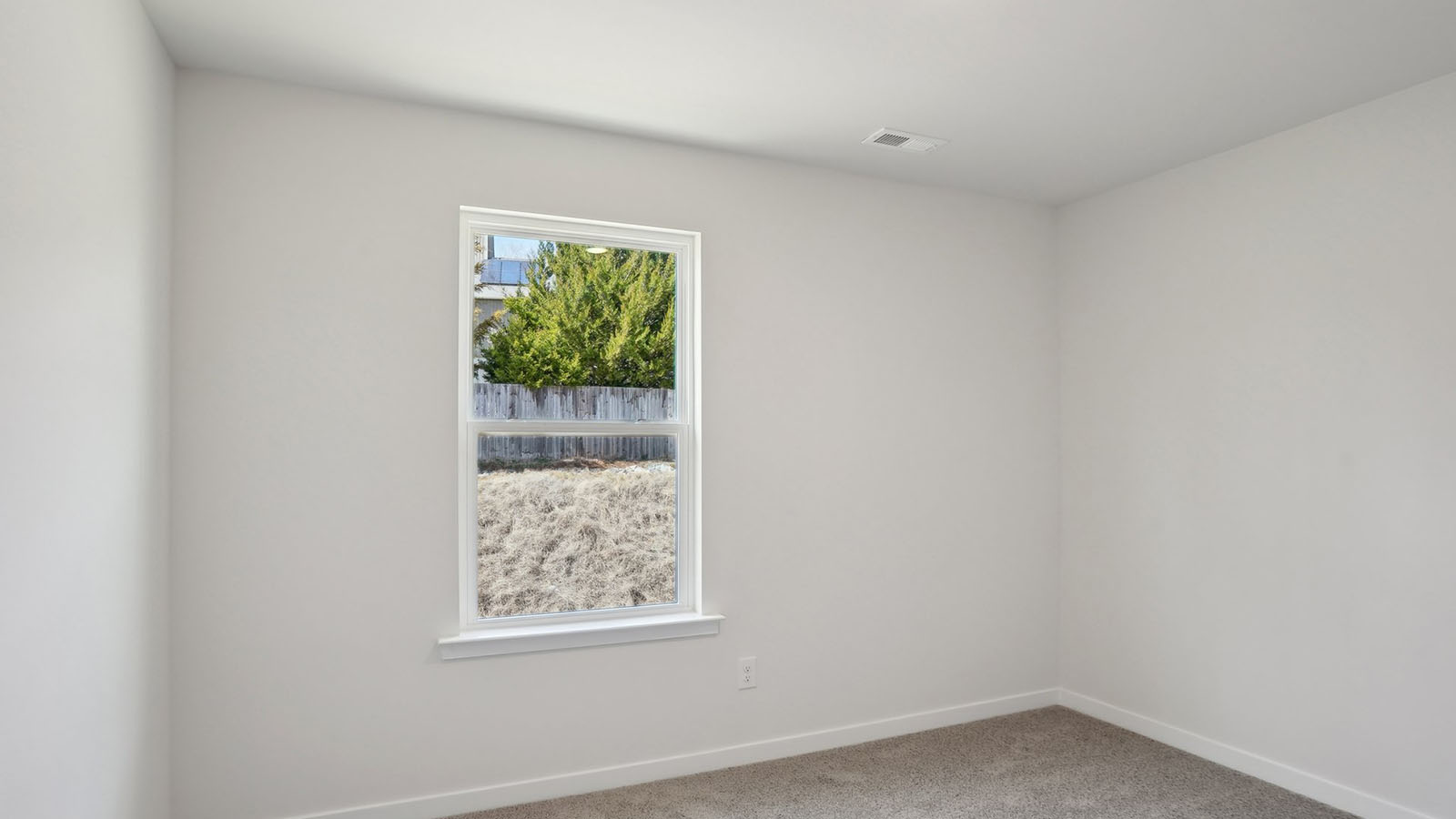 carpeted bedroom with large window
