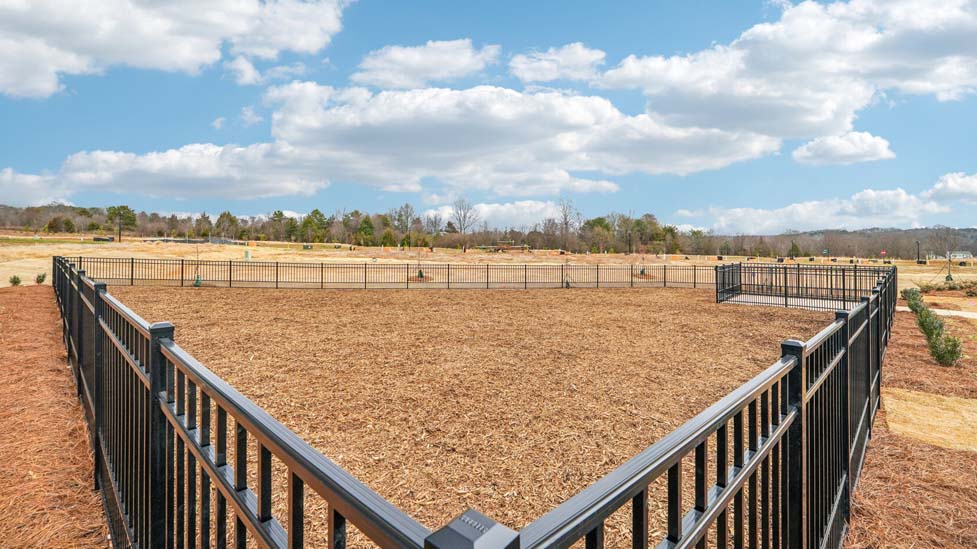 Dog park