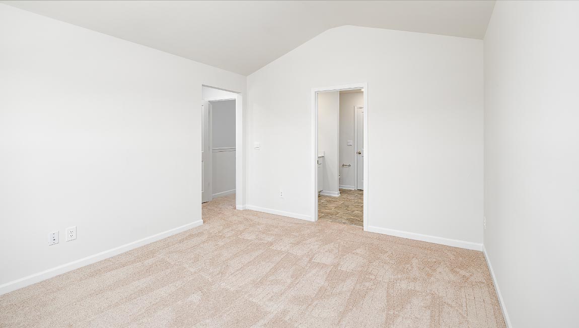 Primary bedroom with carpet and large window