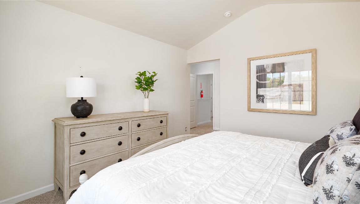 primary bedroom with carpet, and large window