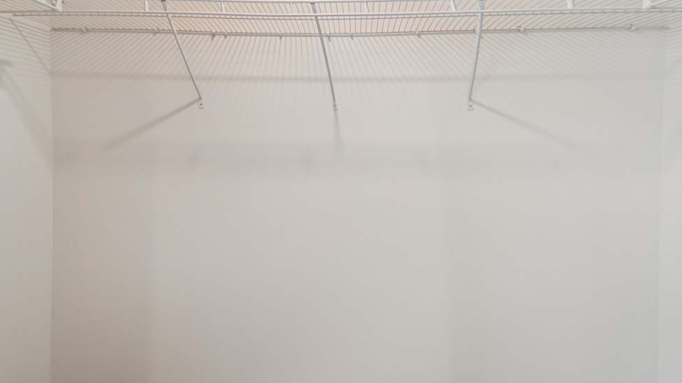 Primary walk in closet with carpet