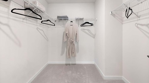 Primary bedroom walk in closet with carpet