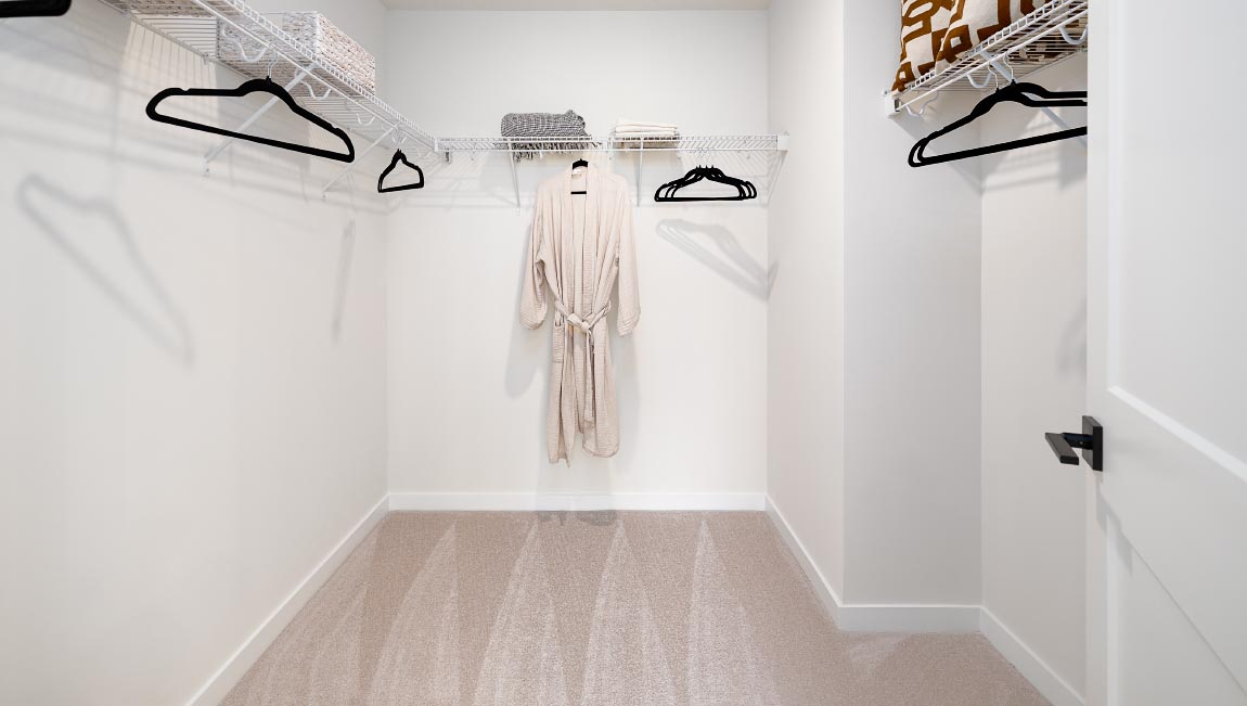 Primary bedroom walk in closet with carpet