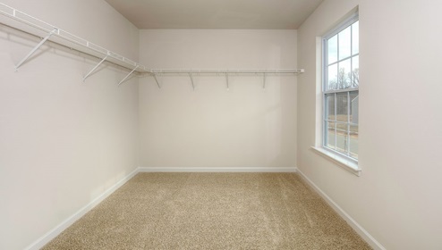 carpeted primary suite with windows walk in closet