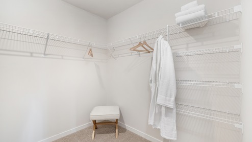 primary carpeted walk in closet. new homes in charlotte, nc