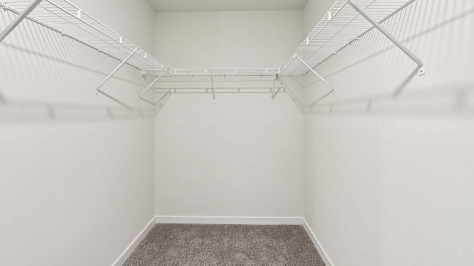 Carpeted walk in closet