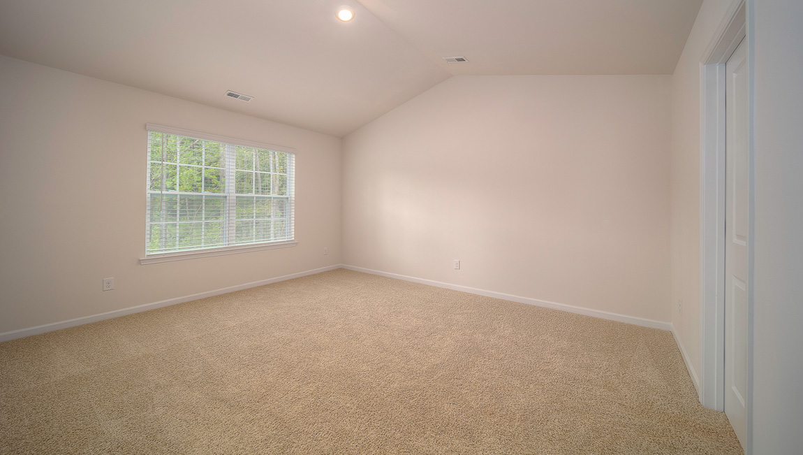 Primary suite with carpet and large window