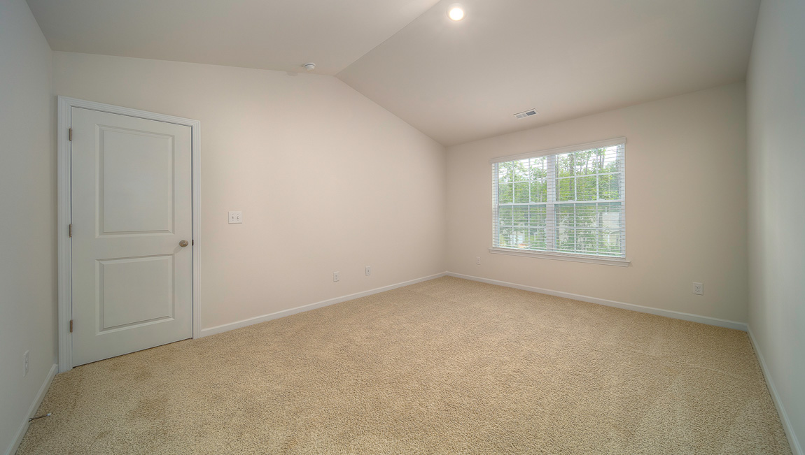 Primary suite with carpet and large window