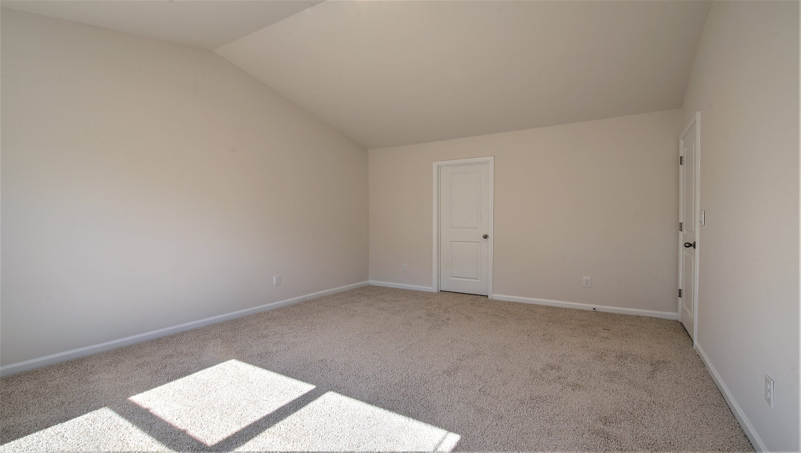 Primary suite with carpet and large window