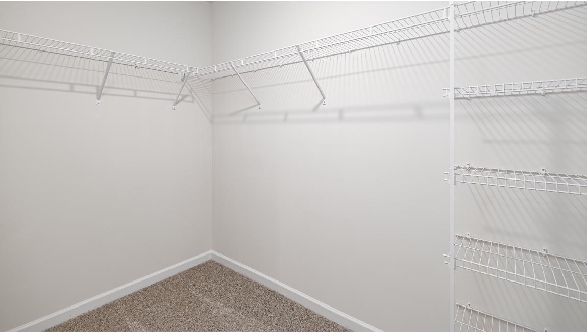 Carpeted Walk In Closet