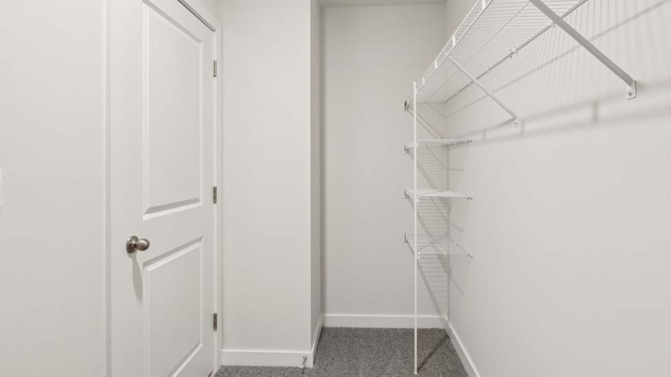 Walk in closet with carpet