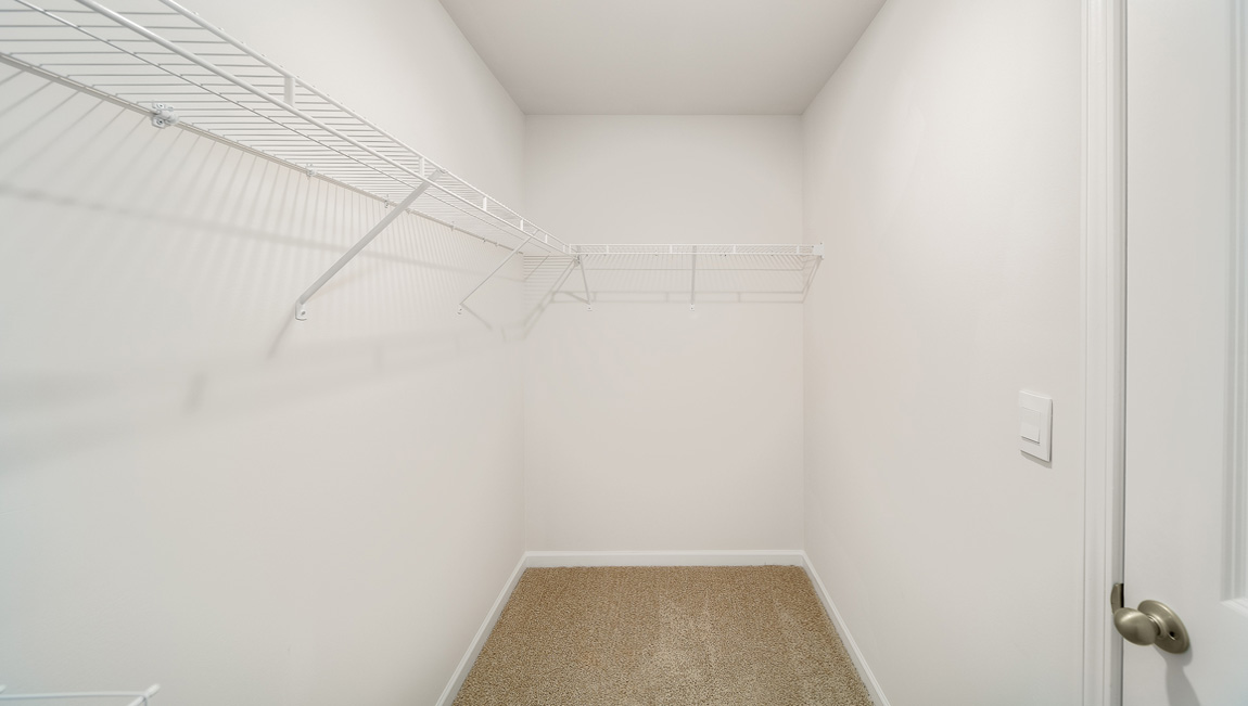 Primary bedroom carpeted walk in closet