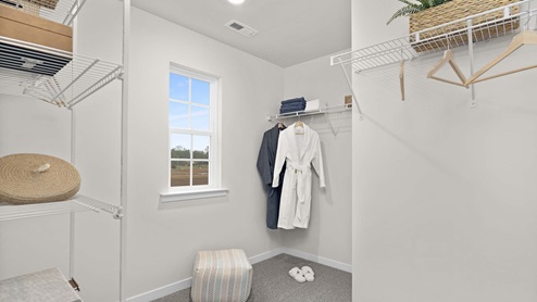 Primary walk in closet with small window and carpet