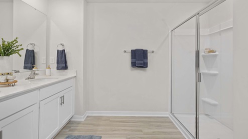 Primary bathroom with double sink vanity and standing shower