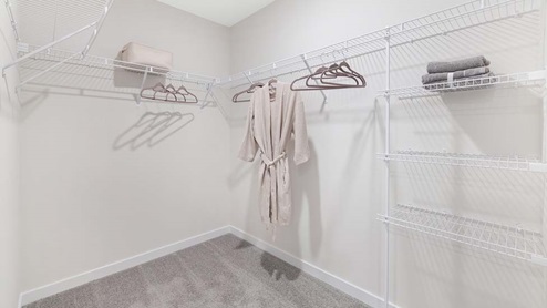 Primary bedroom walk in closet with carpet