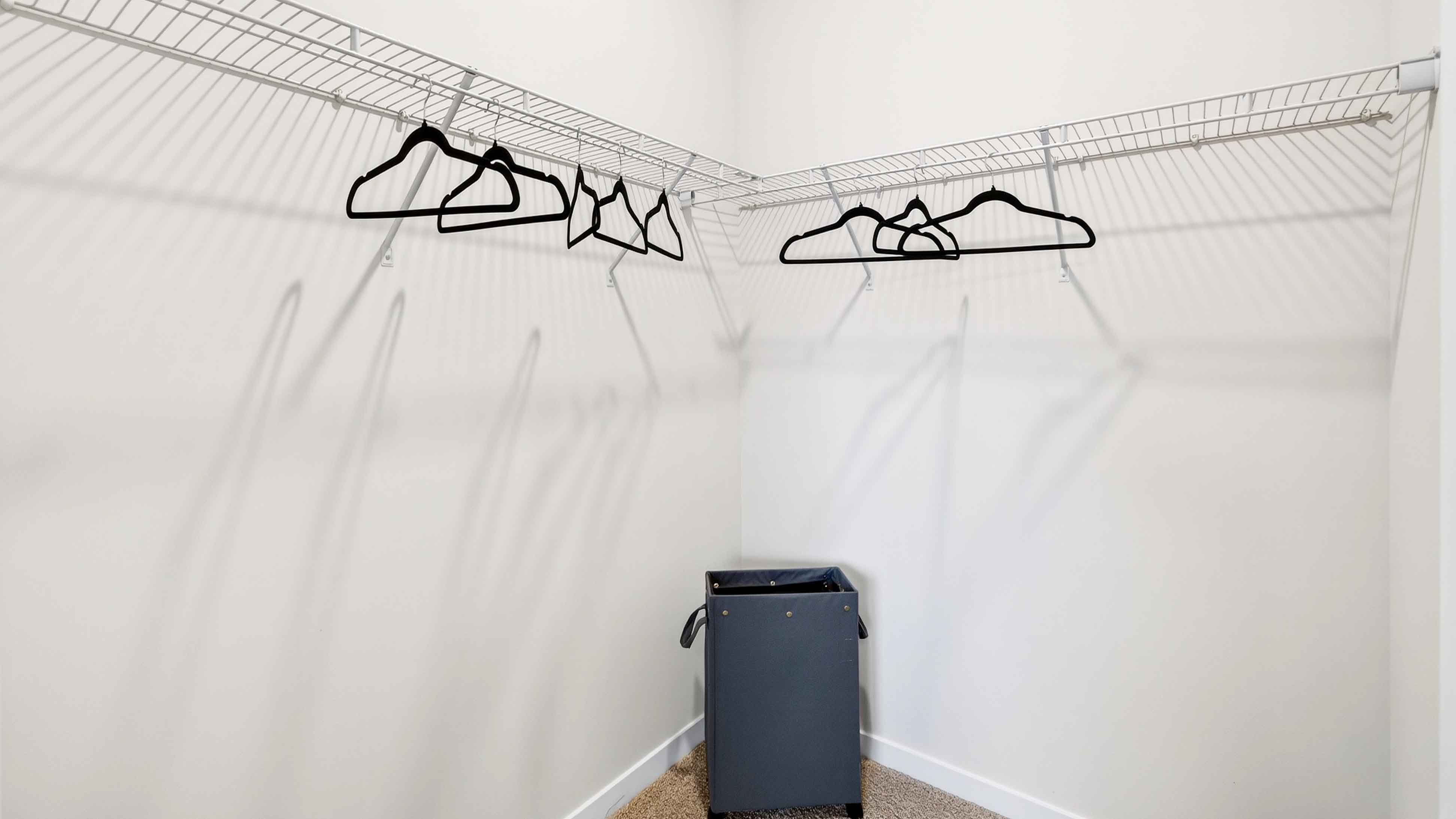 Primary walk in closet