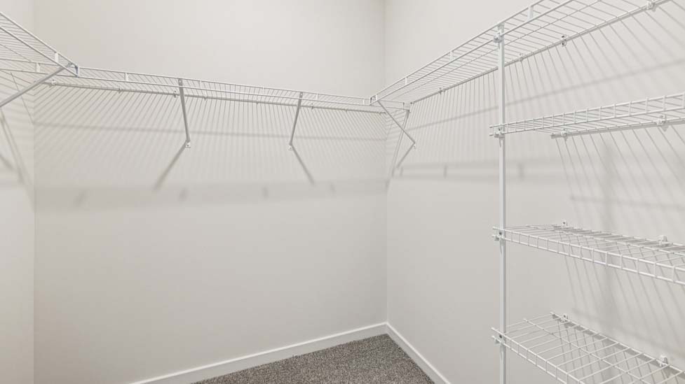 Carpeted walk in closet