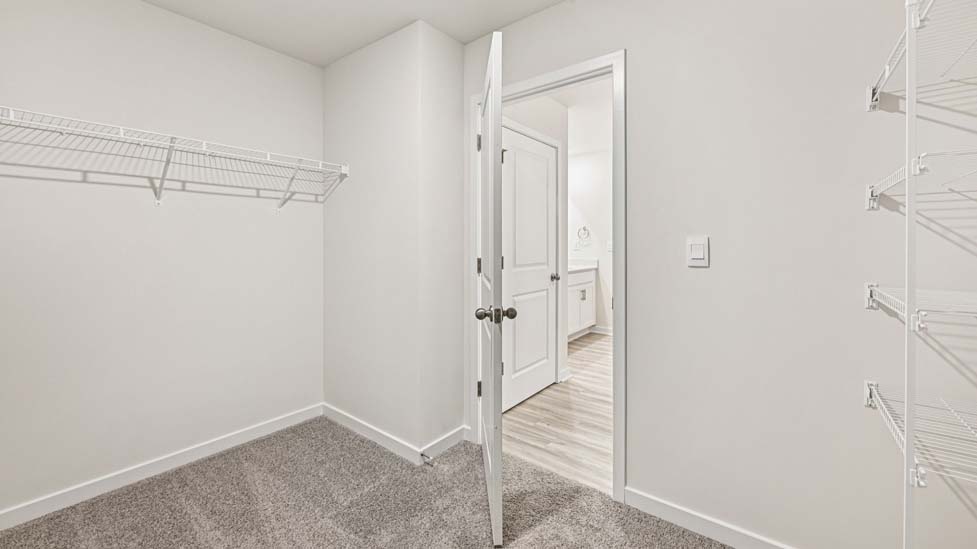 Carpeted walk in closet