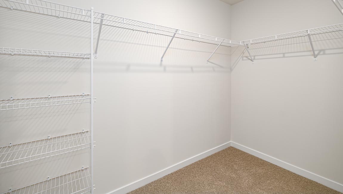 Primary carpeted walk in closet