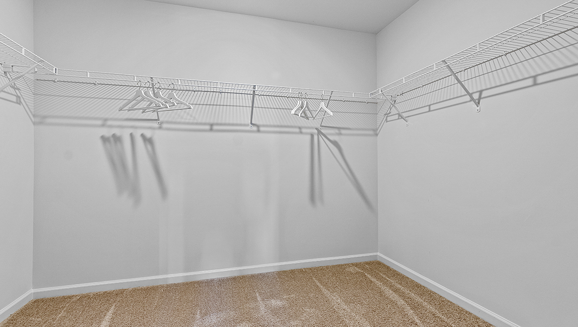 Primary carpeted walk in closet