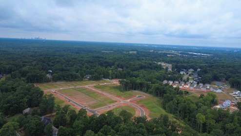 Reedy creek Preserve birds eye view of community